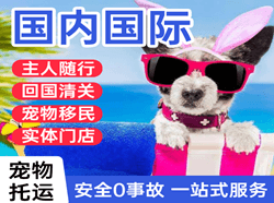 十堰空运国际宠物托运 【国